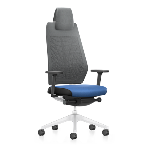 JC218 S1